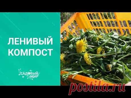 ЛЕНИВЫЙ и БЫСТРЫЙ  КОМПОСТ. Как просто приготовить в саду компост.