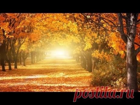 романтичная расслабляющая музыка: красивая музыка фортепиано, скрипка музыка, виолончель музыка ★ 93