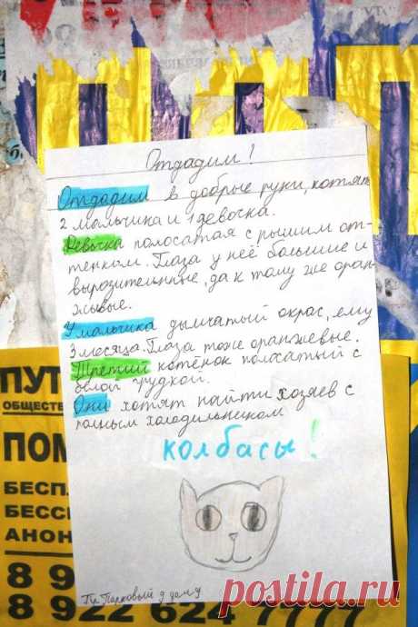 15 забавных объявлений от людей, которые знают, что такое добро / Всё самое лучшее из интернета