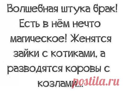 Google+