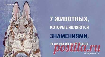 7 животных, которые являются знамениями, если вы их встречаете.