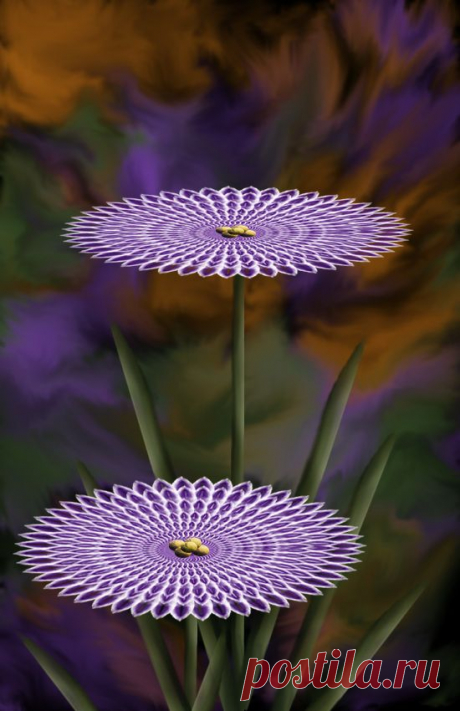 Exotic Flowers Drawing Contest (19654), Pictures Page 1 - Pxleyes.com