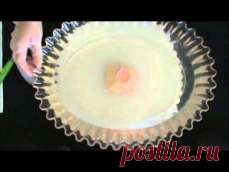 Como hacer un ramo de rosas con alcatrazes pt.1 / jelly art puding