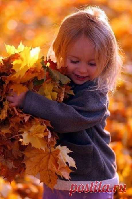 Наслаждаемся осенью 🍂 / IPv2 - Глобальная информация