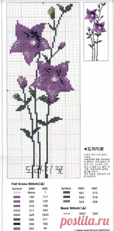 350748-c0639-64963672-m750x740-u6e223.jpg (JPEG Image, 348 × 700 pixels)