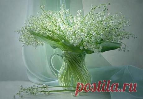 wasfee: В жизни я слышал многое — клятвы, обещания, комплименты, но лучшее, что я слышал — тишина. В ней нет лжи.