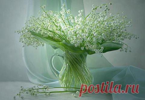 wasfee: В жизни я слышал многое — клятвы, обещания, комплименты, но лучшее, что я слышал — тишина. В ней нет лжи.