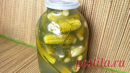 Рецепт солёных огурцов на зиму, передающийся из поколения в поколение. Стоят всю зиму без всякой стерилизации | Элис знает толк в еде! | Дзен