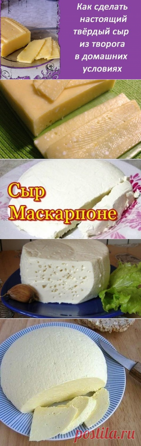 ПРИГОТОВЛЕНИЕ СЫРОВ В ДОМАШНИХ УСЛОВИЯХ