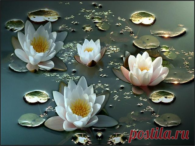 Одноклассники