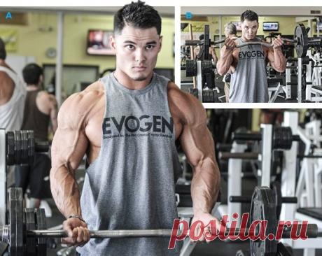 ЛУЧШАЯ ТРЕНИРОВКА БИЦЕПСА - Мужской журнал JK Men's Несмотря на то, что телосложение чемпионов драматически изменилось за последние годы, руки Арнольда Шварценеггера остаются стандартом размера и формы даже