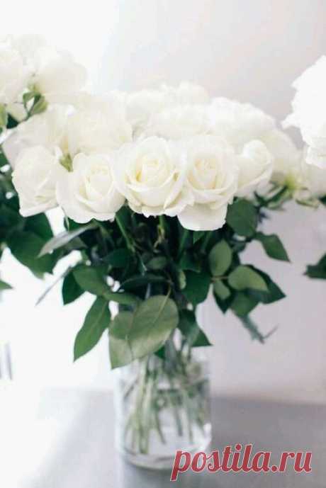 Для настроения !