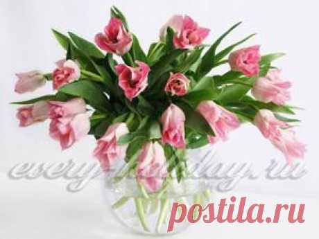 Что добавить в цветы, чтобы дольше стояли?