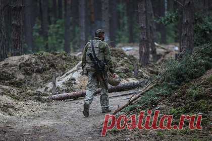 Работавший на Россию украинский пограничник успешно вернулся в Москву. Бывший начальник отдела кибербезопасности Мукачевского пограничного отряда Государственной погранслужбы (ГПС) Украины Руслан Сыровой прилетел в Москву. Он объяснил, что во время службы в Закарпатской области он занимался сбором данных для российских спецслужб.