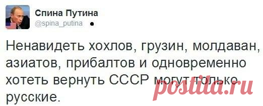 Dmytro Bogush - немного статистики