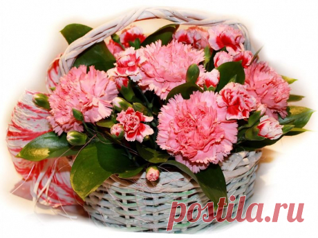 0_e0df6_9d5981b_XL.jpg (800×600)