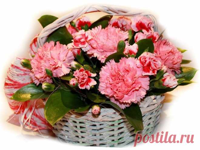 0_e0df6_9d5981b_XL.jpg (800×600)