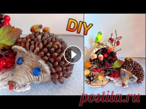 DIY/МИЛЫЙ ЁЖИК СВОИМИ РУКАМИ/ОСЕННЯЯ ПОДЕЛКА ДЕЛАЕМ САМИ/ЁЖИК ИЗ КЕДРОВЫХ ОРЕШКОВ Приветствую Вас уважаемые зрители! Меня зовут Наталья, сегодня я покажу вам как сделать очаровательного ёжика! Иголки ёжика можно сделать как из кофей...
