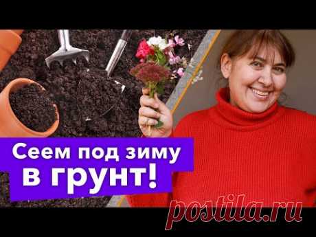 ЗАБУДЬТЕ О РАССАДЕ - ПОСЕЙТЕ ЭТИ ЦВЕТЫ В НОЯБРЕ СРАЗУ В ГРУНТ!