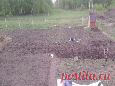 Ах, дача-дачечка, с навозом тачечка, 
И хондроз, и геморрой, но зато огурчик свой!))))