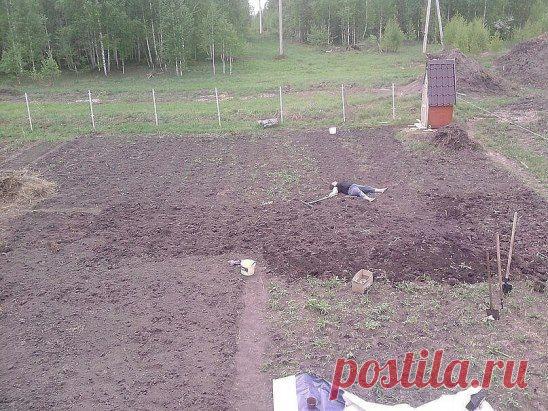 Ах, дача-дачечка, с навозом тачечка, 
И хондроз, и геморрой, но зато огурчик свой!))))