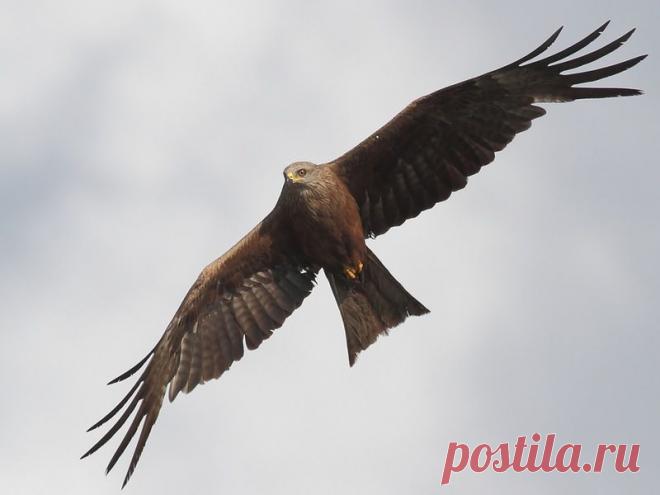 ser1505 — «IMG_83011_filtered.jpg»