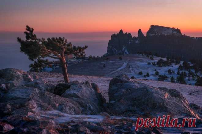(2) Facebook