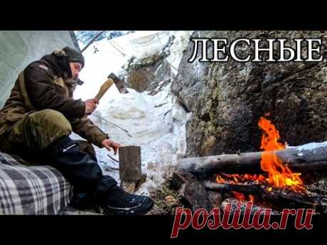 В ТАЙГЕ ЗИМОЙ С МИНИМАЛЬНЫМ СНАРЯЖЕНИЕМ | Горы Снег Бушкрафт - Winter Overnight Bushcraft Camp