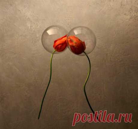 То, что мы называем любовью, не имеет к ней отношения - Психолог - медиаплатформа МирТесен Настоящая любовь&nbsp;встречается не так уж часто. Поэтому люди склонны путать ее с влюбленностью, привязанностью и другими состояниями души. Но все они имеют мало общего с истинной любовью. И на основе любви невозможно создать&nbsp;отношения. Что только не называют люди любовью. Взаимозависимость,