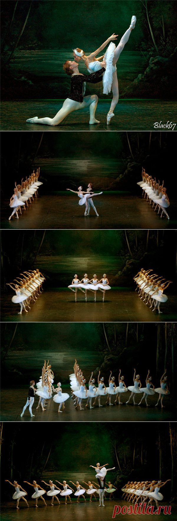 Фотограф Юрий Чернов. Лебединое озеро.