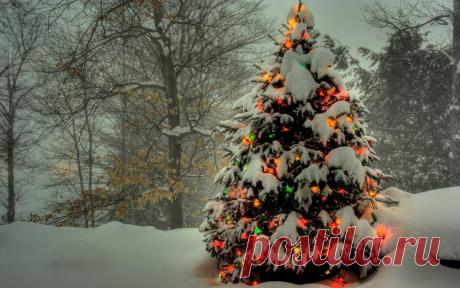 Новогодние обои
Гирлянды, снег, Зимний.лес, огни, ёлка, цветные обои, фото, картинки