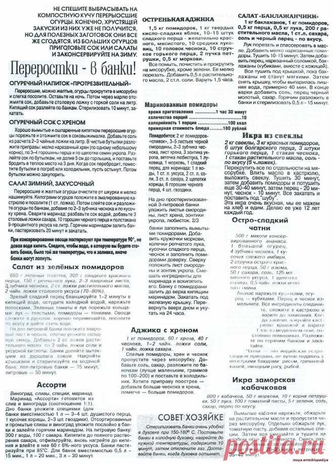 Переросшие огурцы в банке. Аджика. Аджика с хреном. Икра из свеклы на зиму. Баклажаны на зиму. Маринованные помидоры. Салат из зеленых помидоров.