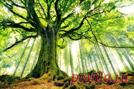 Нумерология: что означает последняя цифра года рождения