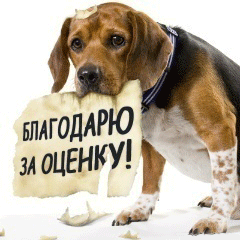 Комментарии - ludasta
