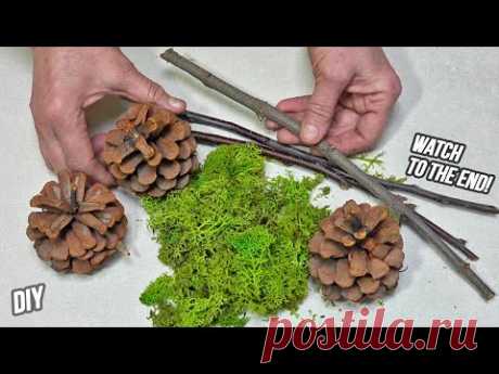I took pine cones, twigs and some moss - awesome result! Watch to the end and you'll see how amazing