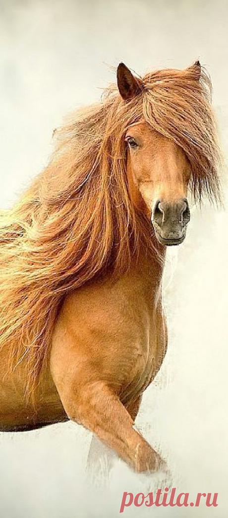 Найдено на сайте sofiazchoice.tumblr.com.