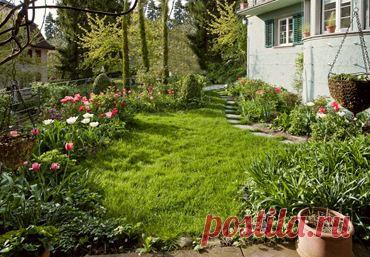 Майские дела в саду | Самоцветик