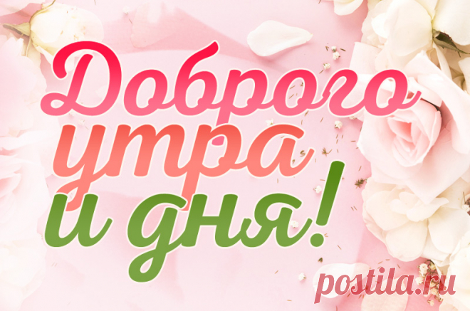 Доброго утра и дня картинки