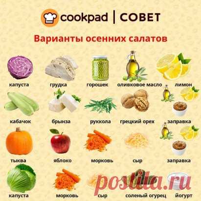 🥗Варианты вкусных осенних салатов🥗
⠀
А какие салаты любите готовить вы?
⠀
#Cookpad #сайтCookpad #Cookpad_ru
#вкусно #готовитьпросто #готовитьлегко #вкуснаяеда #люблюготовить #едаялюблютебя #ужин #бублики #конкурс #ужиндлянего #куксы #мойобед #вкусныйобед #завтрак #полезныйзавтрак #правильноепитание