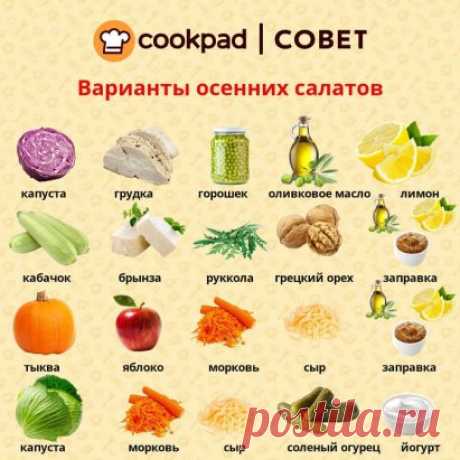 🥗Варианты вкусных осенних салатов🥗
⠀
А какие салаты любите готовить вы?
⠀
#Cookpad #сайтCookpad #Cookpad_ru
#вкусно #готовитьпросто #готовитьлегко #вкуснаяеда #люблюготовить #едаялюблютебя #ужин #бублики #конкурс #ужиндлянего #куксы #мойобед #вкусныйобед #завтрак #полезныйзавтрак #правильноепитание
