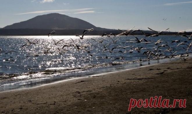 Власти Сахалина решили привлечь Японию к участию в развитии Курил - Новости Экономики - Новости Mail.Ru