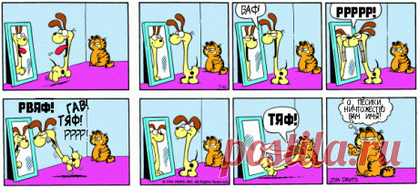 1980-07-06