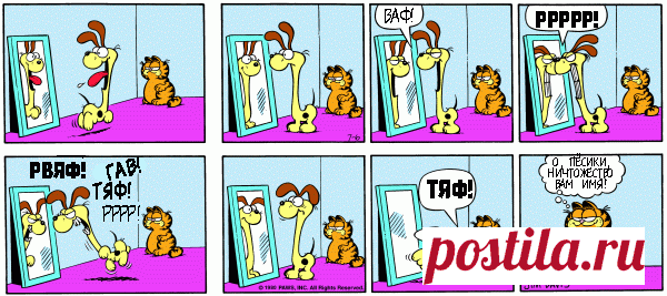 1980-07-06