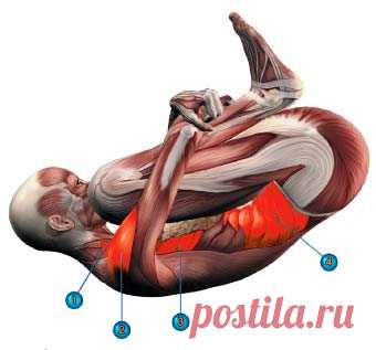 10 поз йоги, чтобы помочь потерять жир на животе