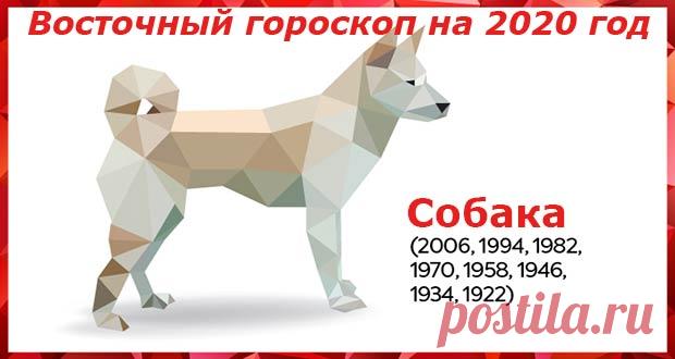 Восточный гороскоп на 2020 год Собака: женщины и мужчины
