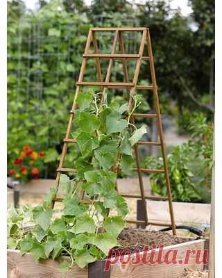 Pinterest • Всемирный каталог идей