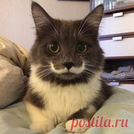 Cамые умилительные Инстаграмы года / Всё самое лучшее из интернета