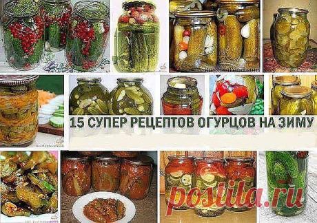 Самые вкусные и оригинальные рецепты огурцов на зиму