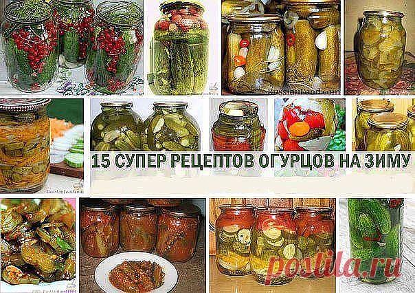 Самые вкусные и оригинальные рецепты огурцов на зиму