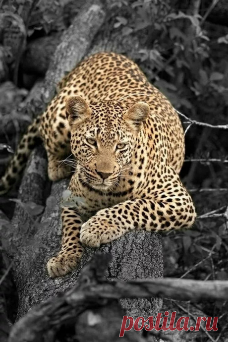 image%2520%282%29.jpg (663×994)
